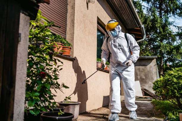 Wildlife Control Services in Vernon, AL