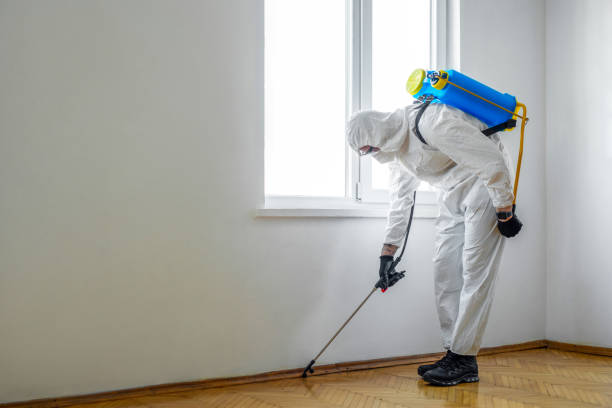 Best Affordable Pest Control Services  in Vernon, AL