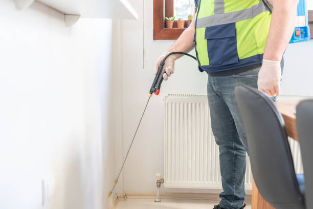Best Ant Control Services  in Vernon, AL