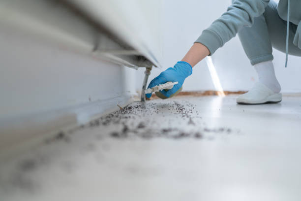 Pest Control Cost in Vernon, AL